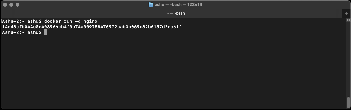 docker attach command